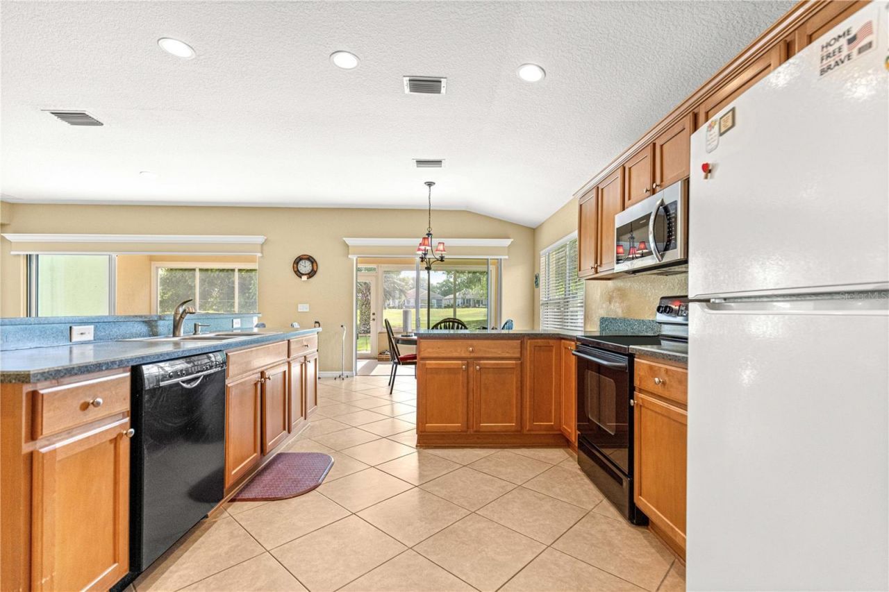 13131 SE 91st Court Road , Summerfield, FL 34491 Photo