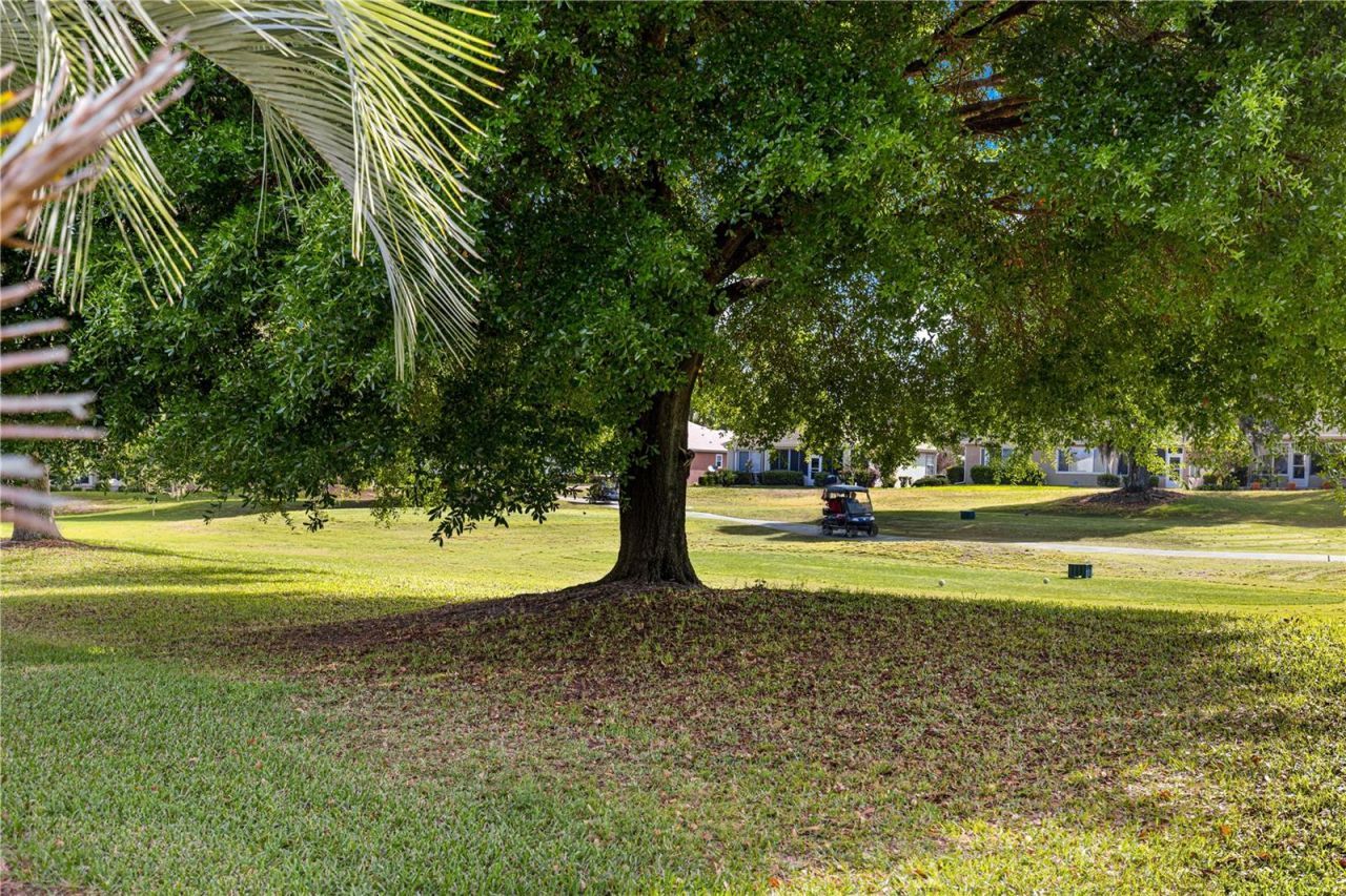 13131 SE 91st Court Road , Summerfield, FL 34491 Photo