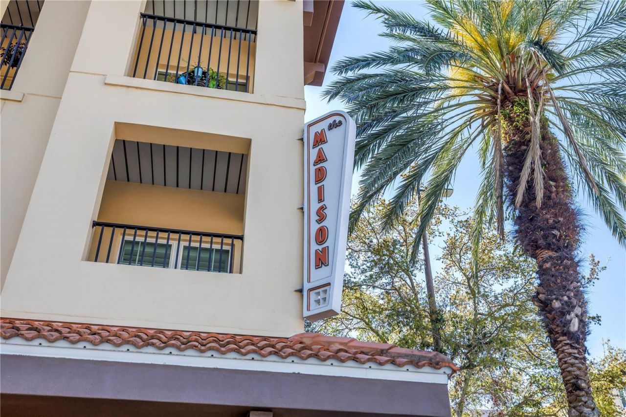 100 4th Avenue S, Unit 207, Saint Petersburg, FL 33701 Photo