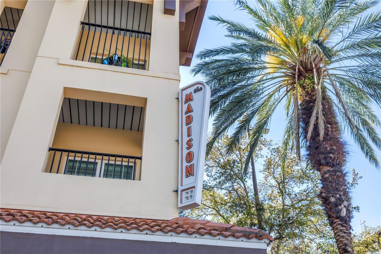 100 4th Avenue S, Unit 207, Saint Petersburg, FL 33701 Photo