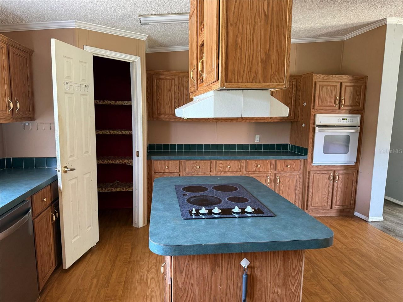 11090 SE 165th Terrace Road , Ocklawaha, FL 32179 Photo