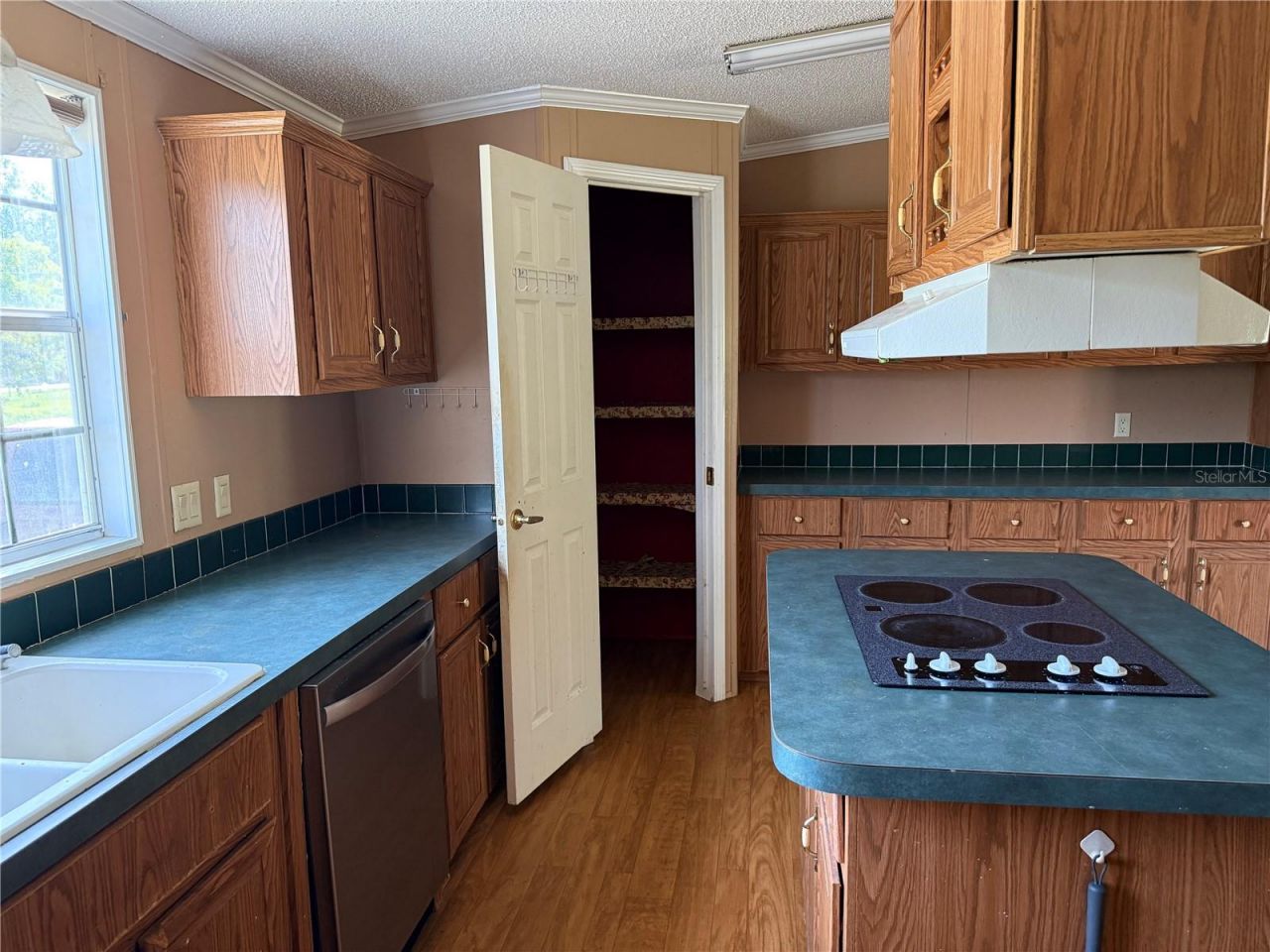 11090 SE 165th Terrace Road , Ocklawaha, FL 32179 Photo