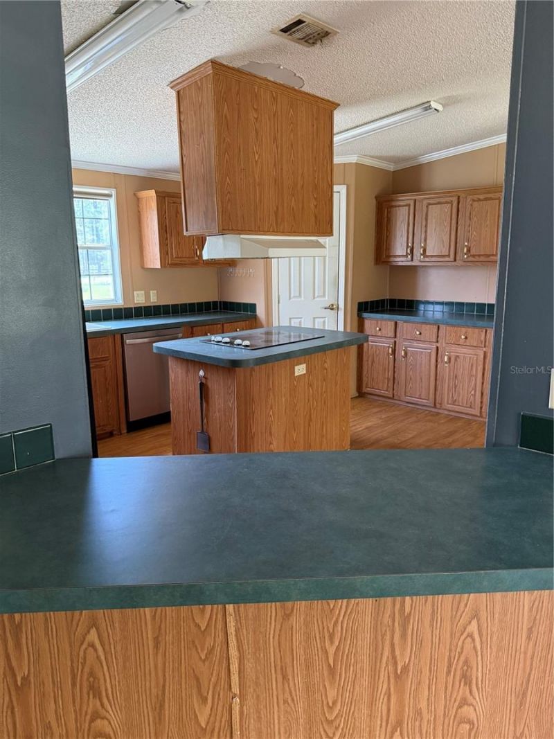 11090 SE 165th Terrace Road , Ocklawaha, FL 32179 Photo