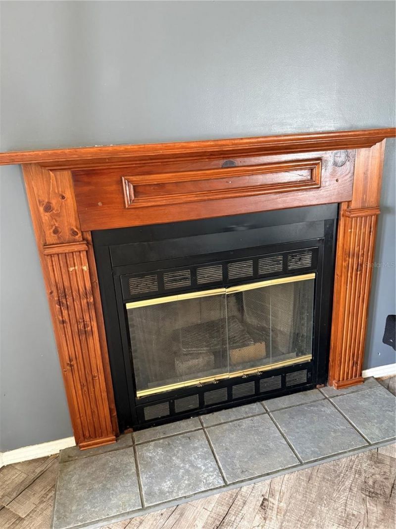 11090 SE 165th Terrace Road , Ocklawaha, FL 32179 Photo