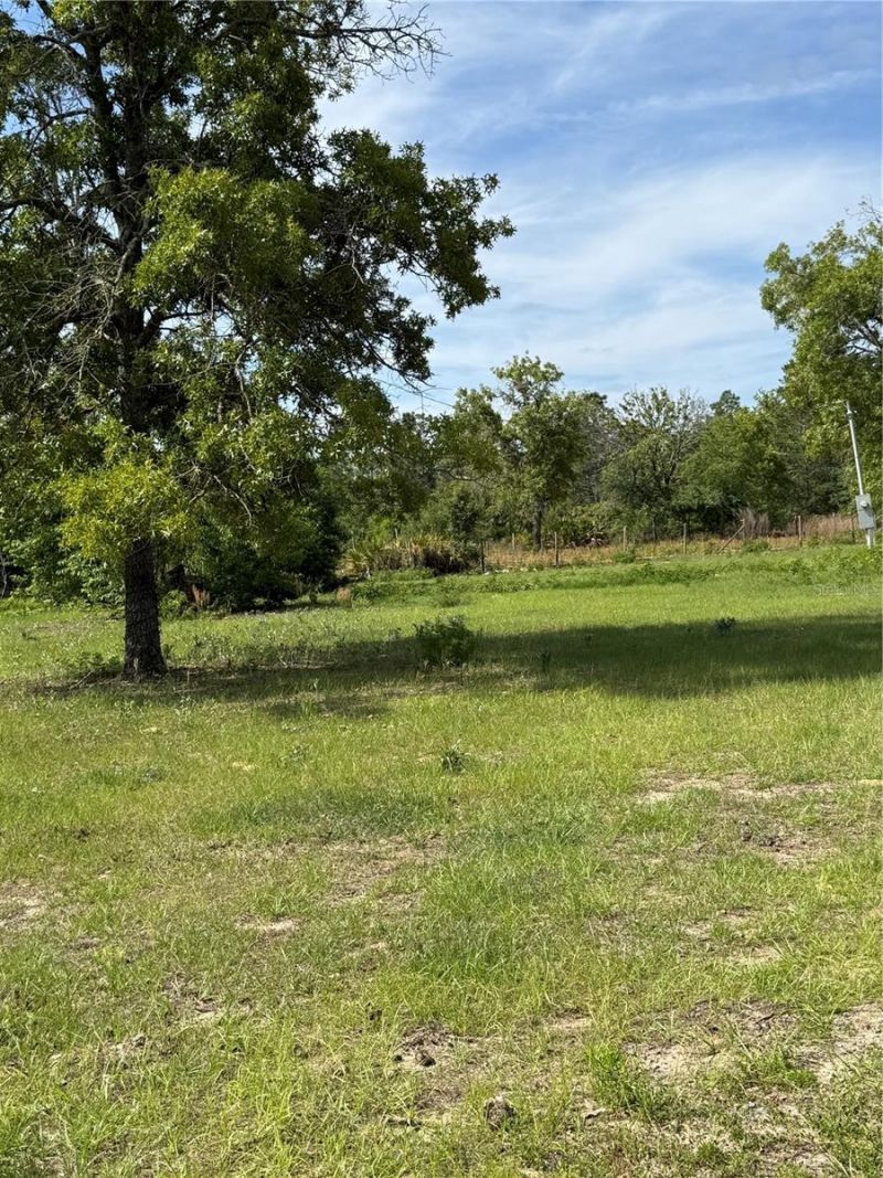 11090 SE 165th Terrace Road , Ocklawaha, FL 32179 Photo