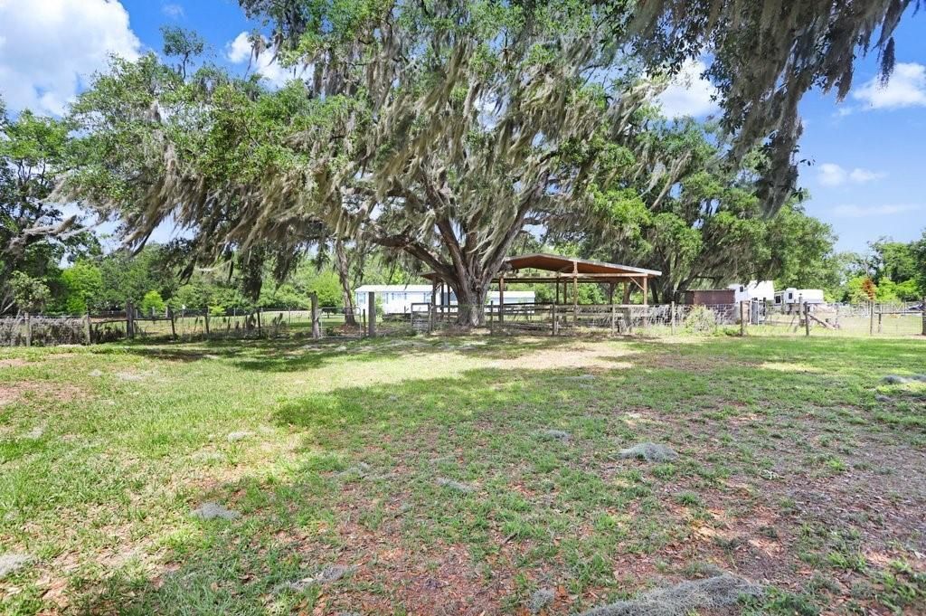 11727 Lithia Pinecrest Road, Lithia, FL 33547 Photo