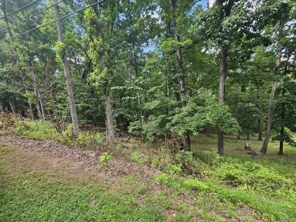 0 Pin Oak DR , Blue Ridge, VA 24064