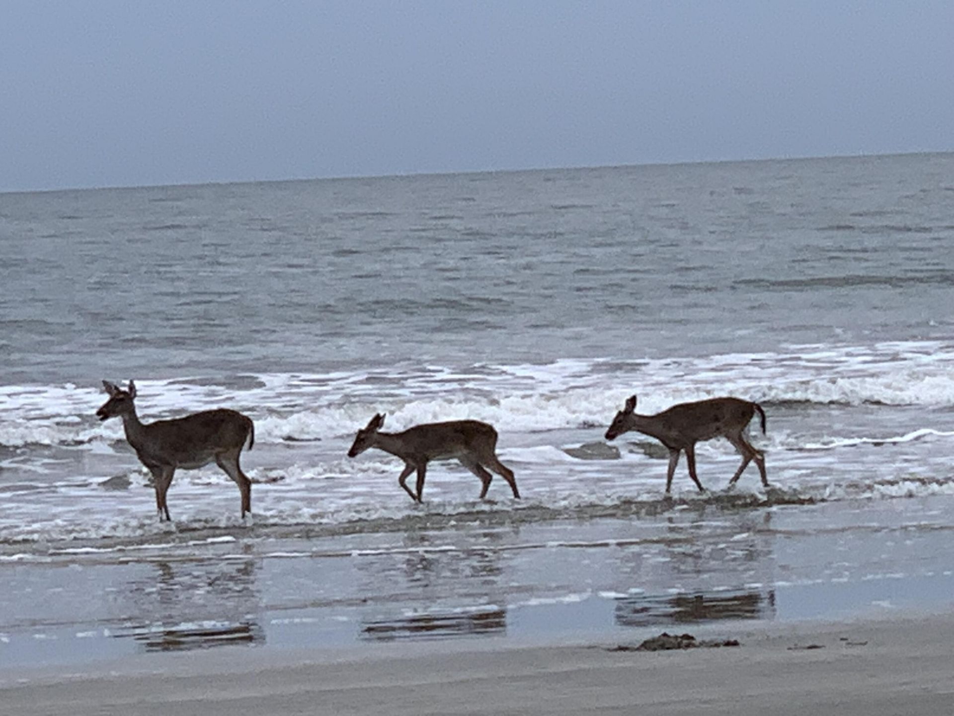 4758 Tennis Clb Lane Photo 22