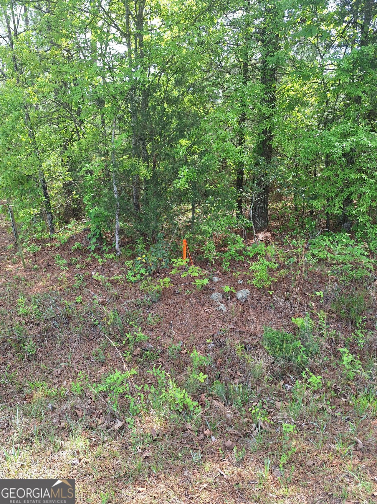 0 Hester Road, Elberton, GA 30635 Main Photo