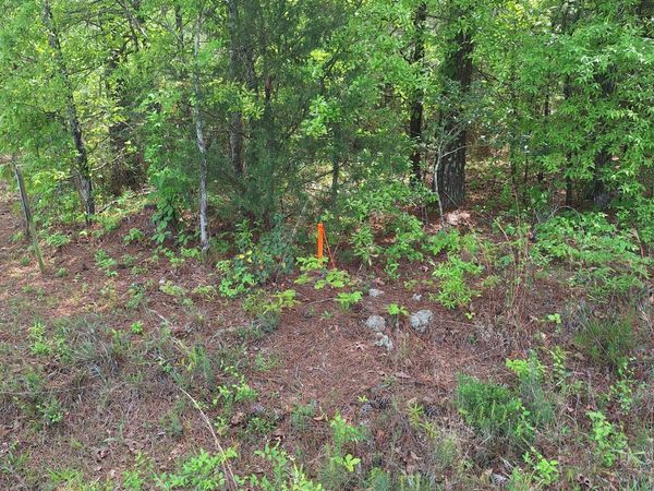 0 Hester Road, Elberton, GA 30635