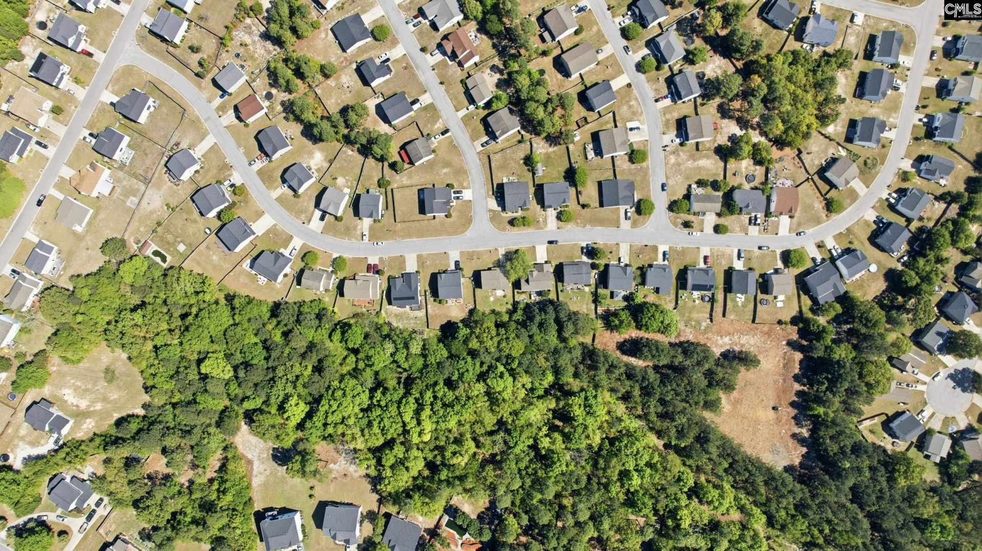 213 Tea Olive Avenue Photo 6