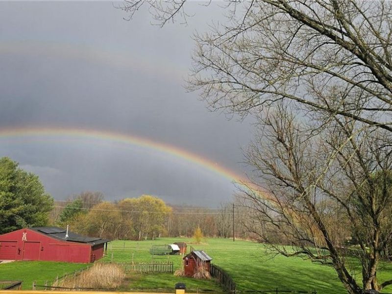 7545 Wadsworth Road, Medina, OH 44256 Photo 40