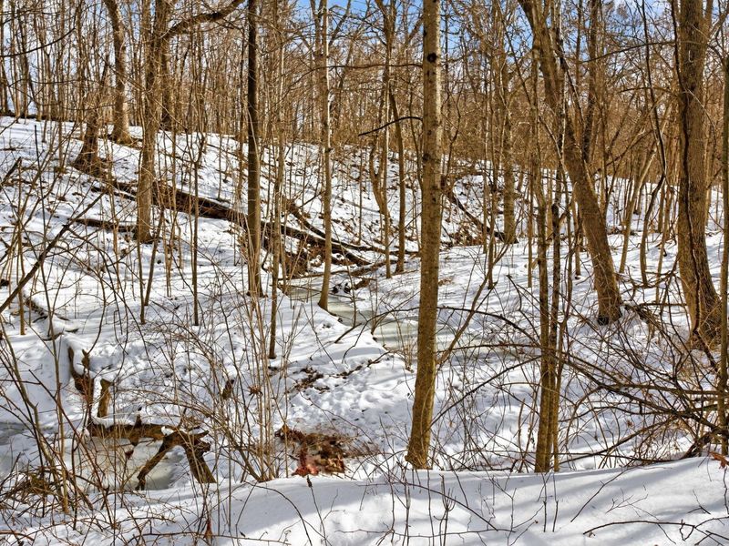 0 Twp Rd 55, Bellefontaine, OH 43311 Photo 15