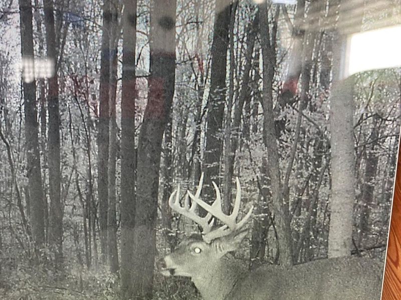 0 Twp Rd 55, Bellefontaine, OH 43311 Photo 17