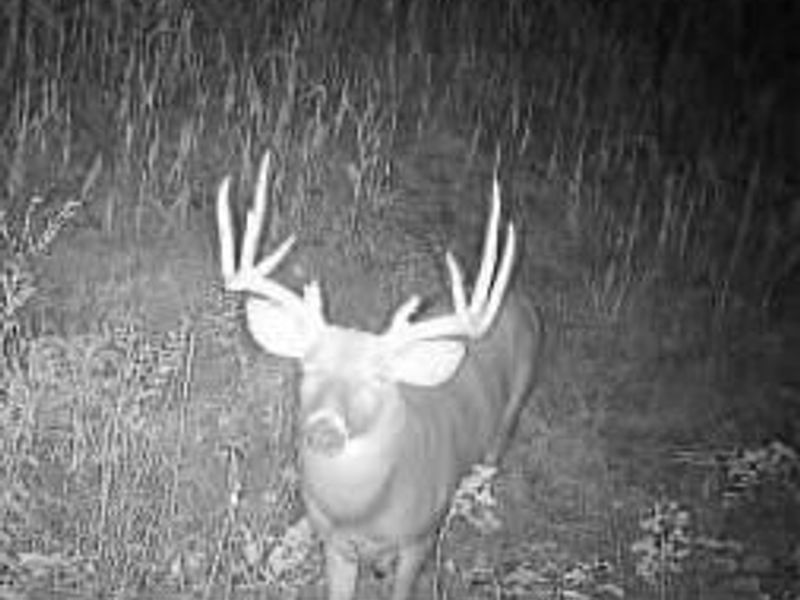 0 Twp Rd 55, Bellefontaine, OH 43311 Photo 18