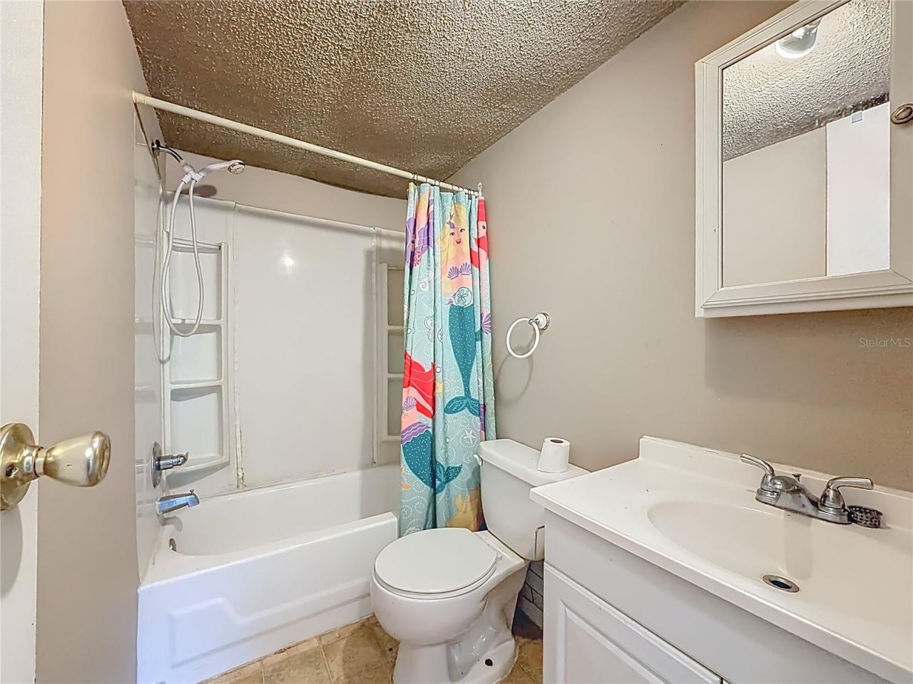 16940 SE 101st Court Road , Summerfield, FL 34491 Photo