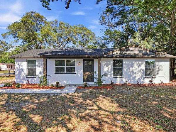 3207 DODGE STREET , TAMPA, FL 33605