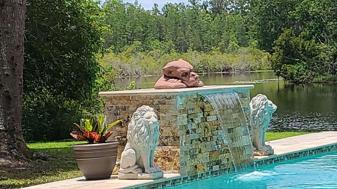 5757 Sweet Cherry Lane , Land O Lakes, FL 34639 Photo