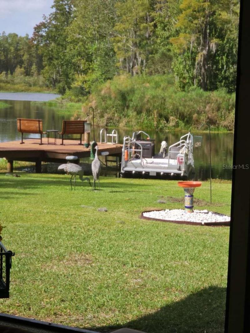 5757 Sweet Cherry Lane , Land O Lakes, FL 34639 Photo