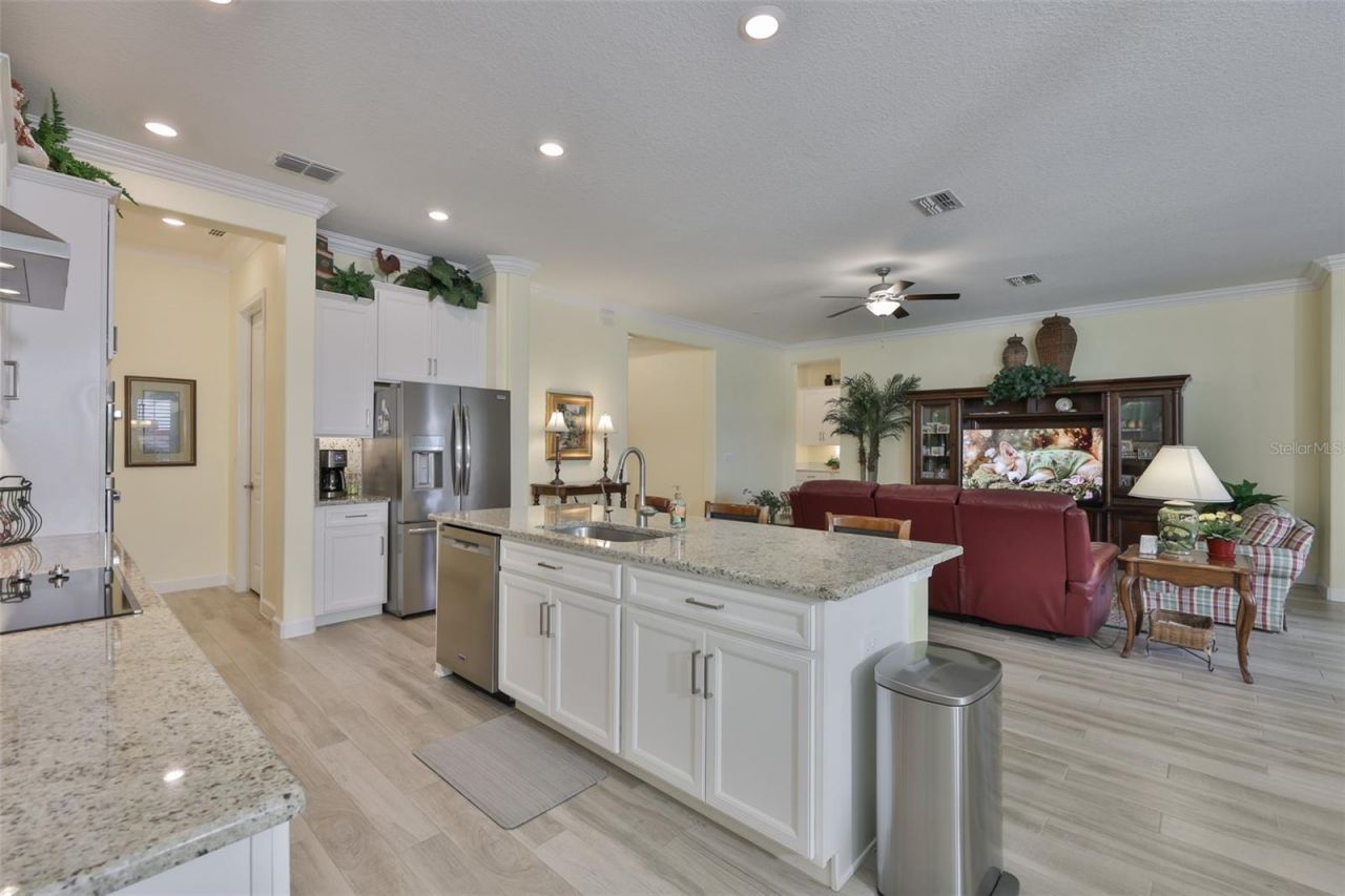 16955 Scuba Crest Street , Wimauma, FL 33598 Photo