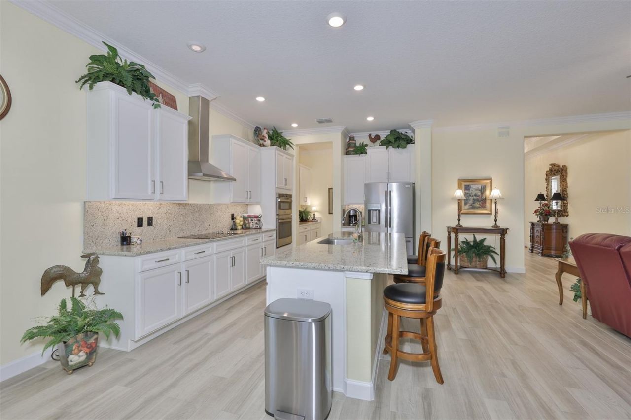 16955 Scuba Crest Street , Wimauma, FL 33598 Photo