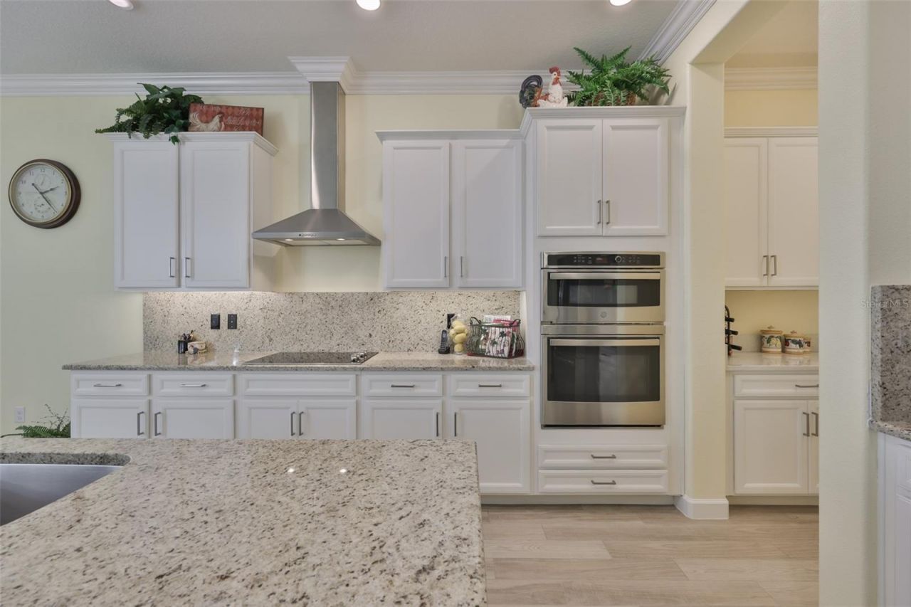 16955 Scuba Crest Street , Wimauma, FL 33598 Photo