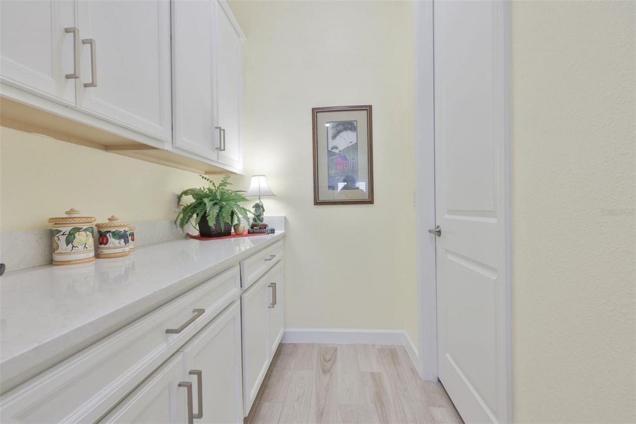 16955 Scuba Crest Street , Wimauma, FL 33598 Photo