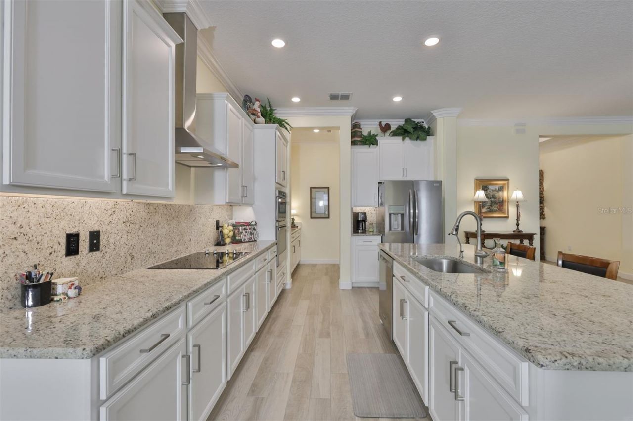 16955 Scuba Crest Street , Wimauma, FL 33598 Photo