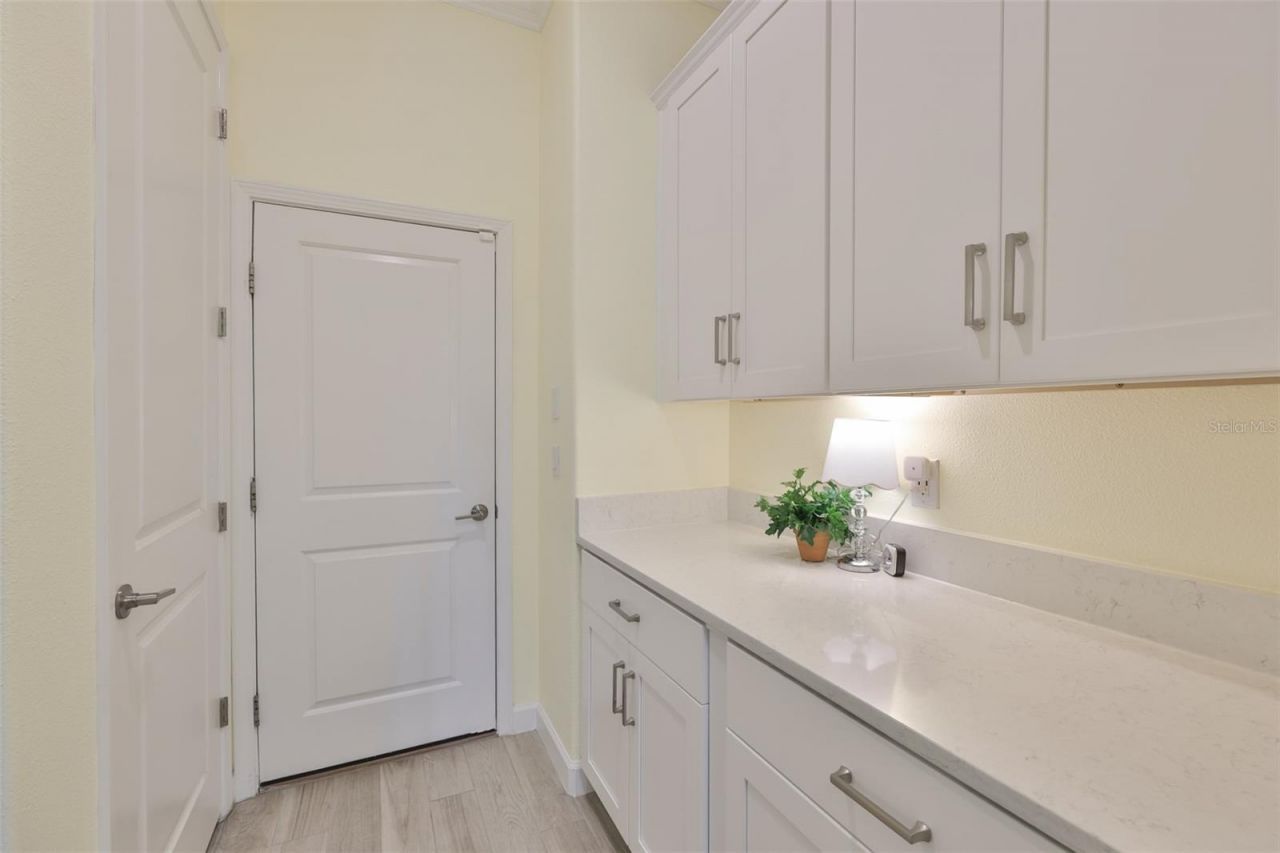 16955 Scuba Crest Street , Wimauma, FL 33598 Photo