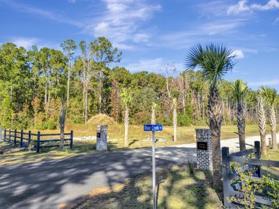 3015 Doar Creek Trail, Awendaw, SC 29429
