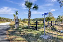 3015 Doar Creek Trail photo 4