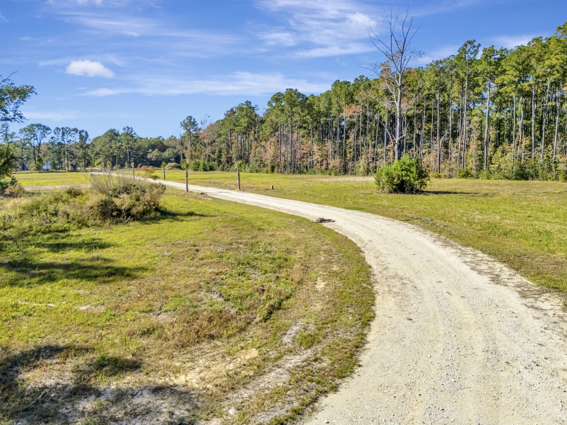3015 Doar Creek Trail Photo 5
