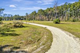 3015 Doar Creek Trail photo 4