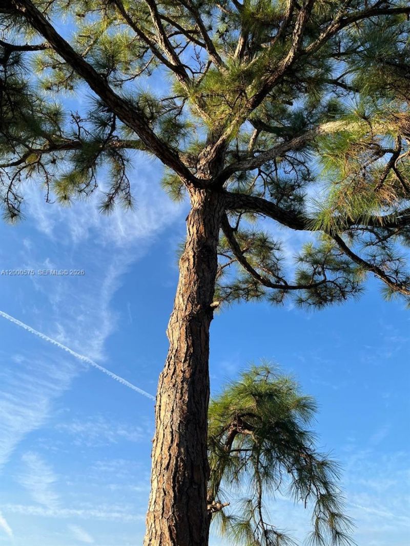 1637 SW Taurus Ln, Port Saint Lucie, FL 34984 Photo