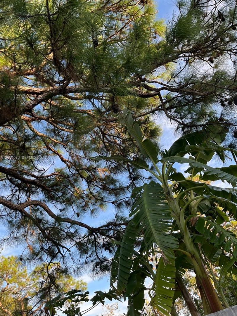 1637 SW Taurus Ln, Port Saint Lucie, FL 34984 Photo