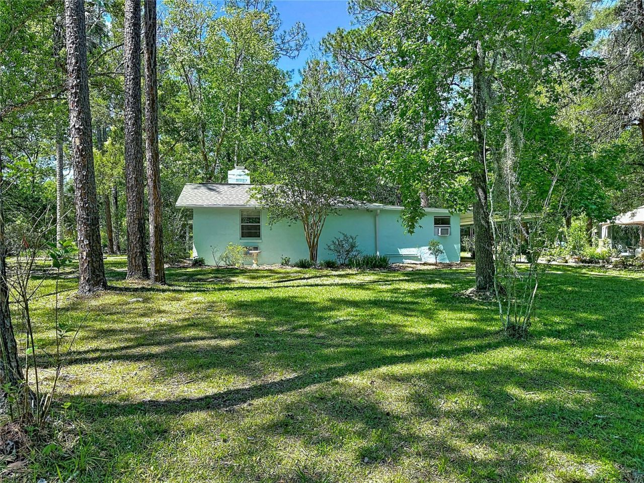 10371 E Highway 316, Fort Mc Coy, FL 32134 Photo
