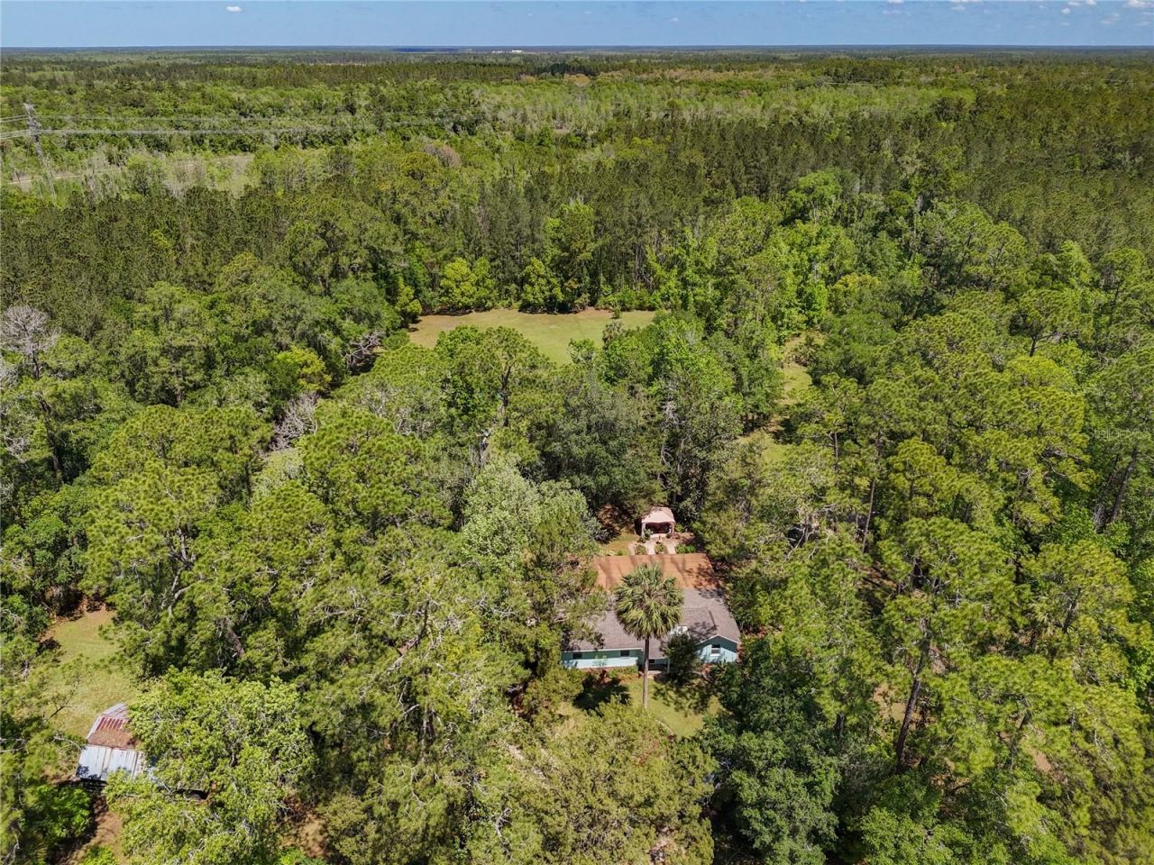 10371 E Highway 316, Fort Mc Coy, FL 32134 Photo