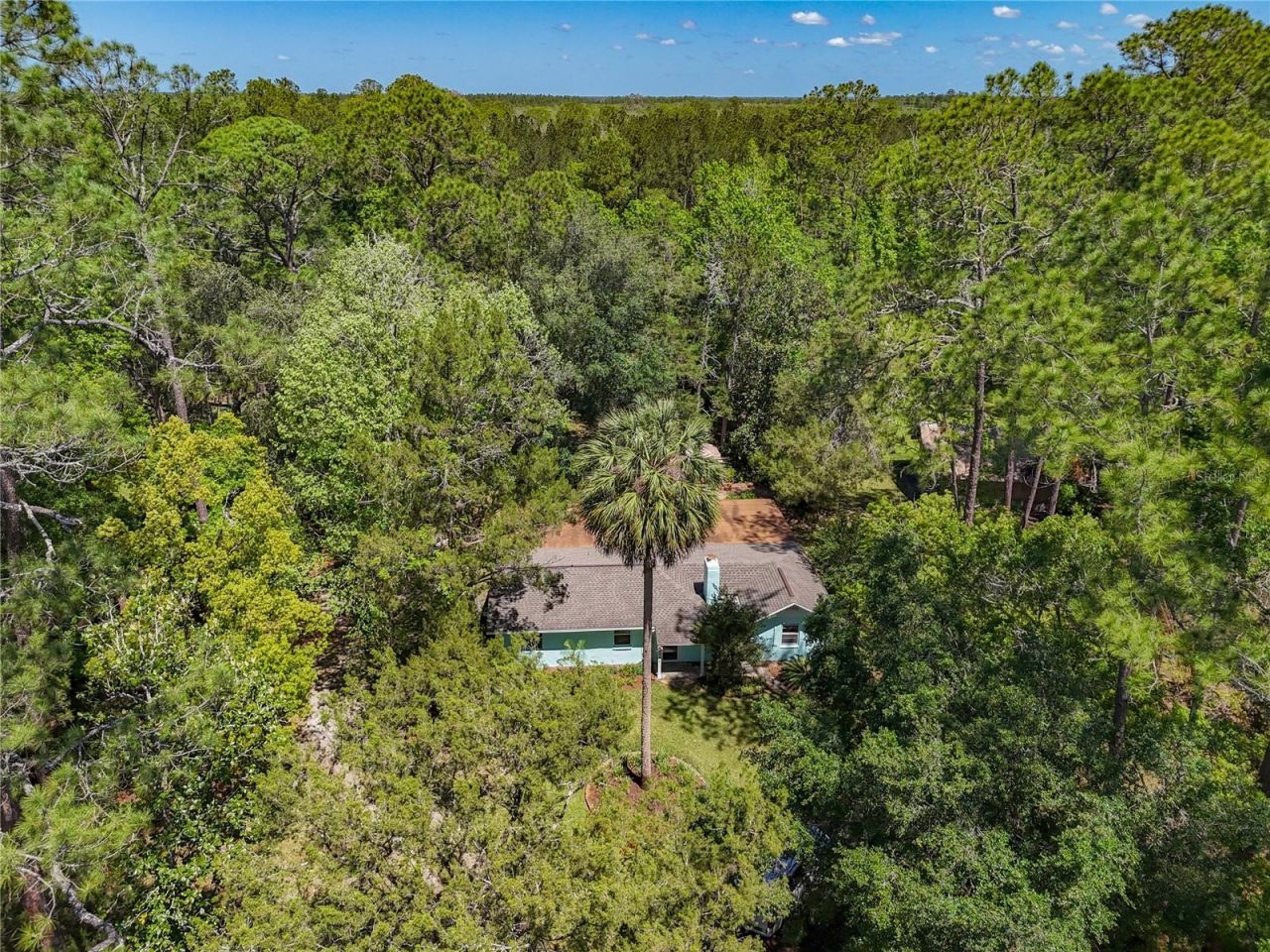 10371 E Highway 316, Fort Mc Coy, FL 32134 Photo