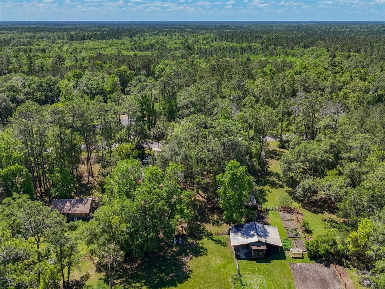 10371 E Highway 316, Fort Mc Coy, FL 32134 Photo