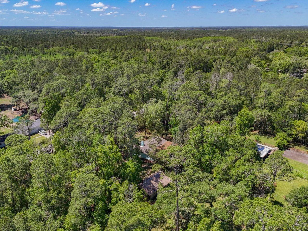 10371 E Highway 316, Fort Mc Coy, FL 32134 Photo