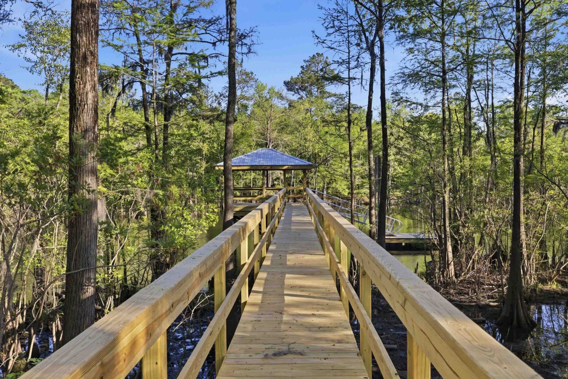 137 Rose Lake Dr. Photo 30