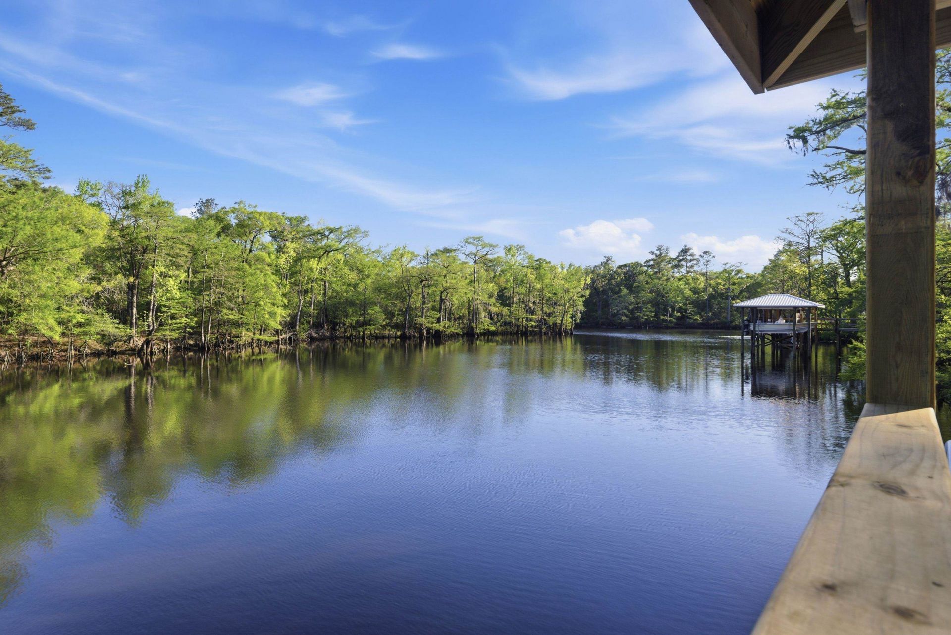 137 Rose Lake Dr. Photo 32