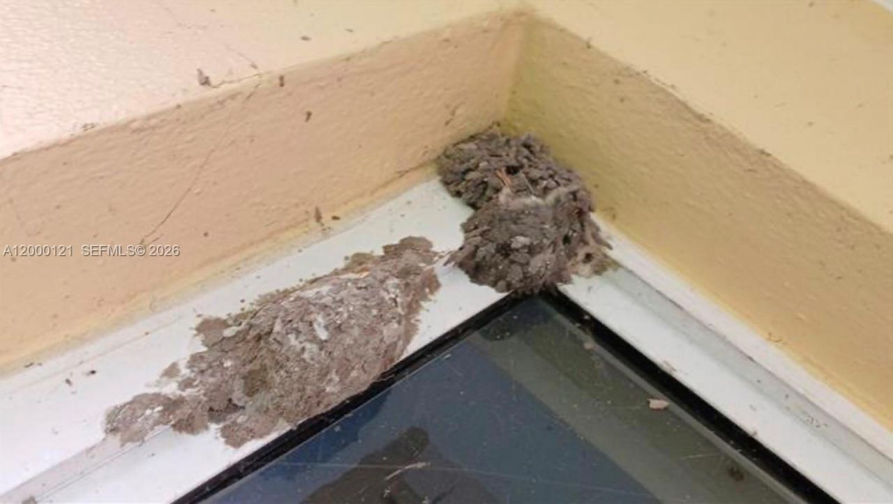 3931 NW 108th Dr, Coral Springs, FL 33065 Photo