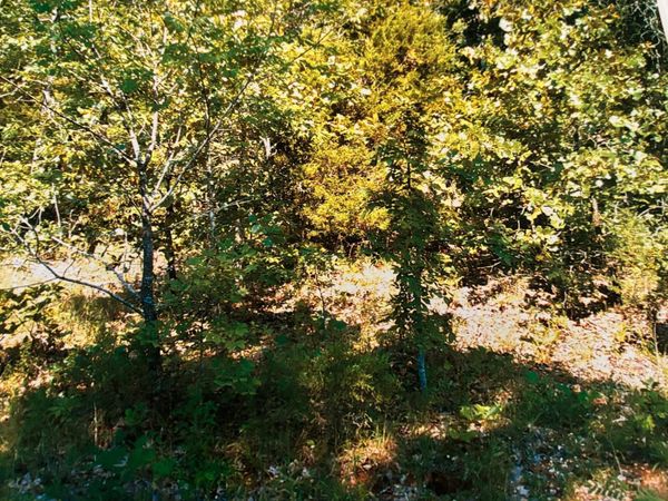 TBD Wahoo Drive , Cherokee Village, AR 72529