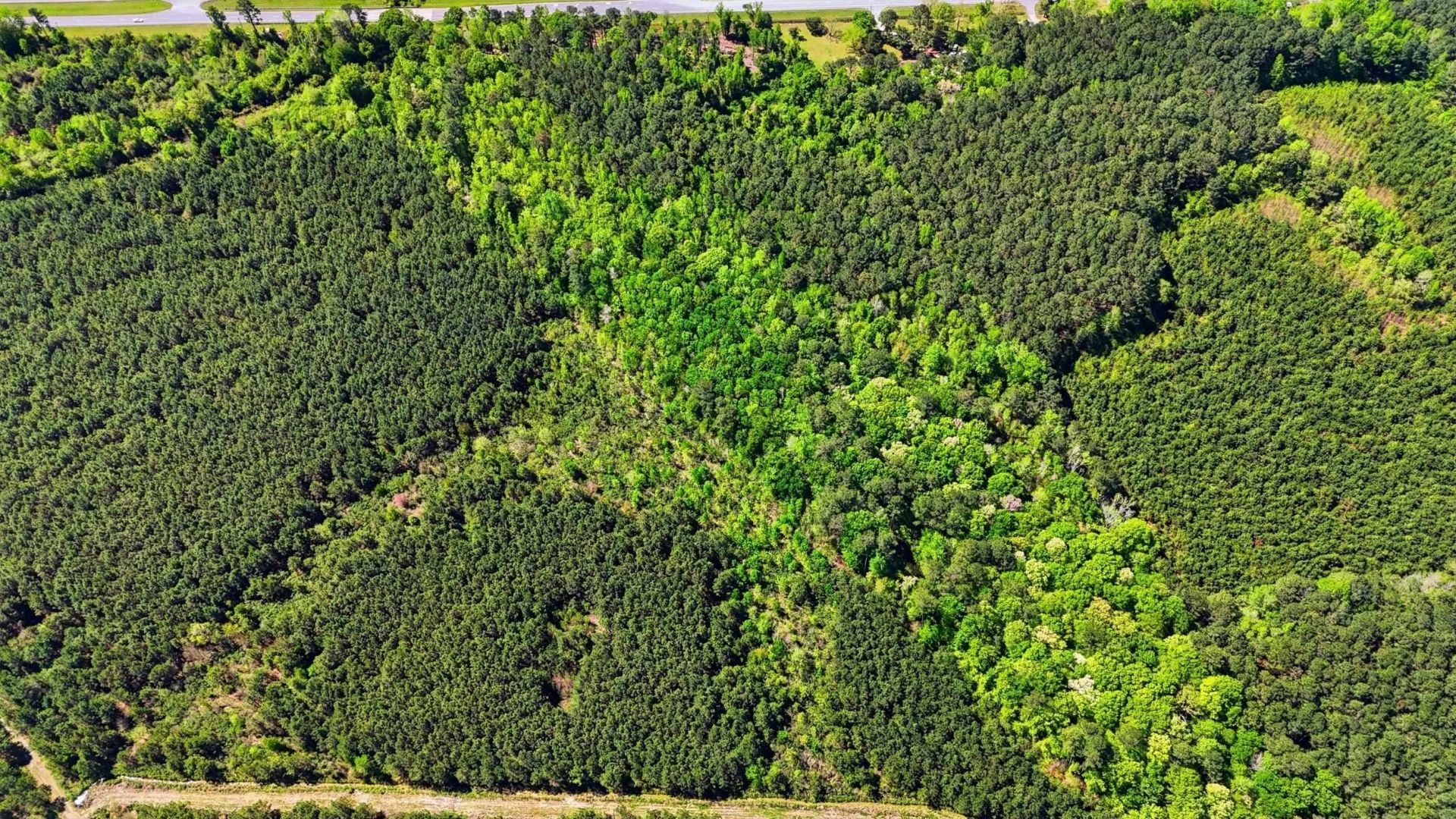 Tbd Highway 9 Photo 11