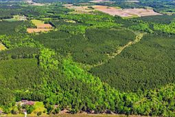 Tbd Highway 9 photo 4