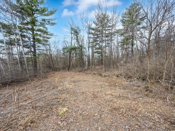 TBD Hwy 46, Balsam Lake, WI 54810