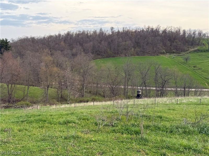 Indian Spring Road, Baltic, OH 43804 Photo 10