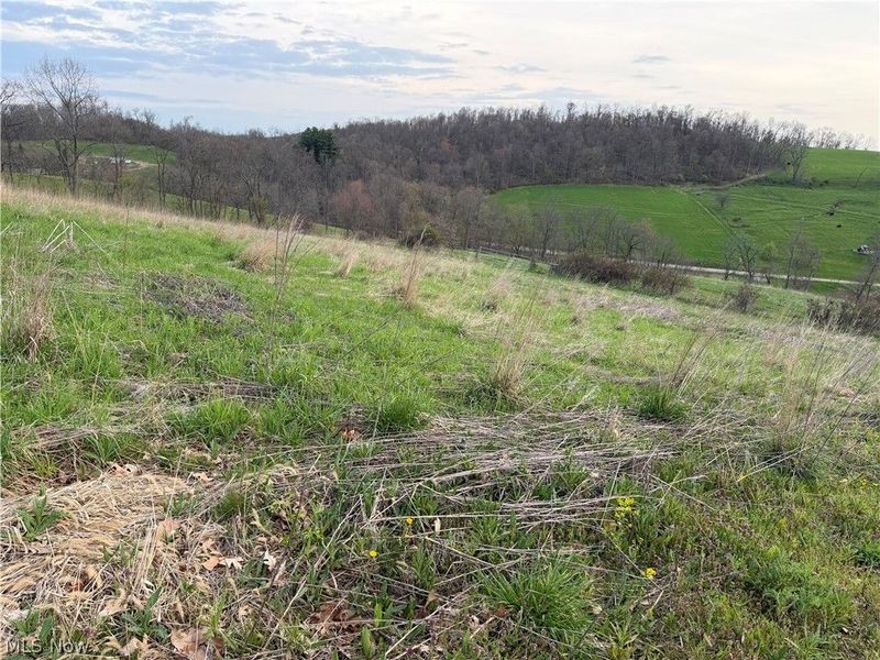 Indian Spring Road, Baltic, OH 43804 Photo 8