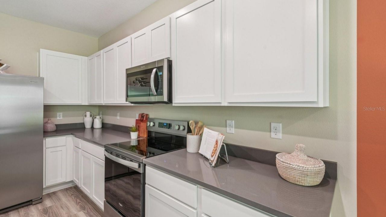 17621 Spanish Oak Loop , Land O Lakes, FL 34638 Photo